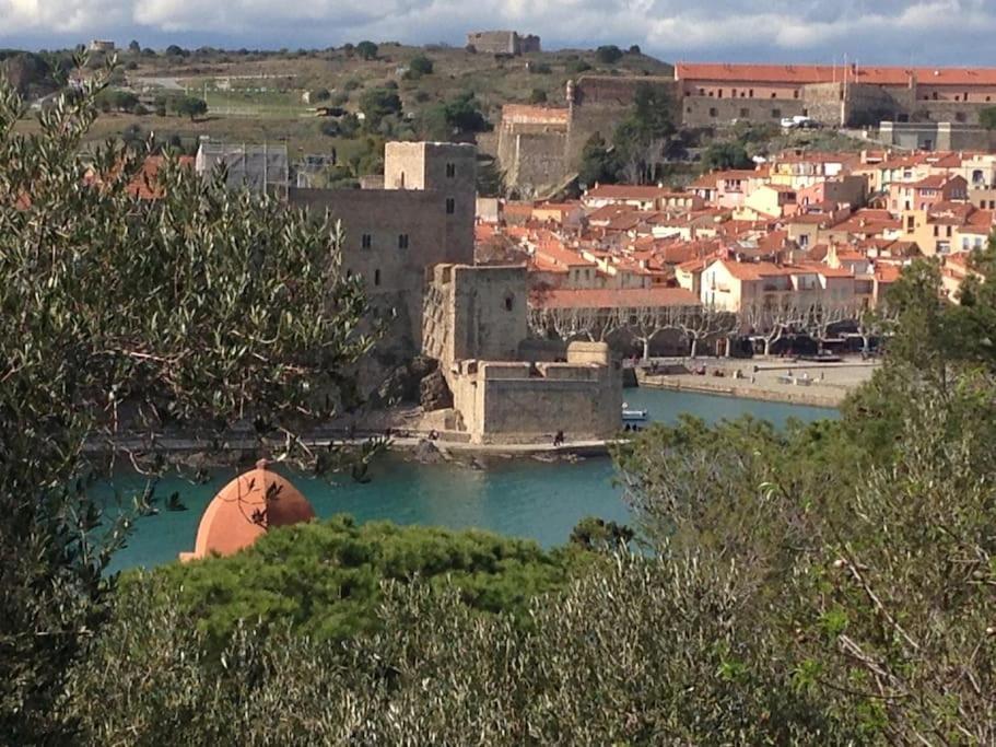 Pieds Dans L'Eau A Collioure Lägenhet Exteriör bild